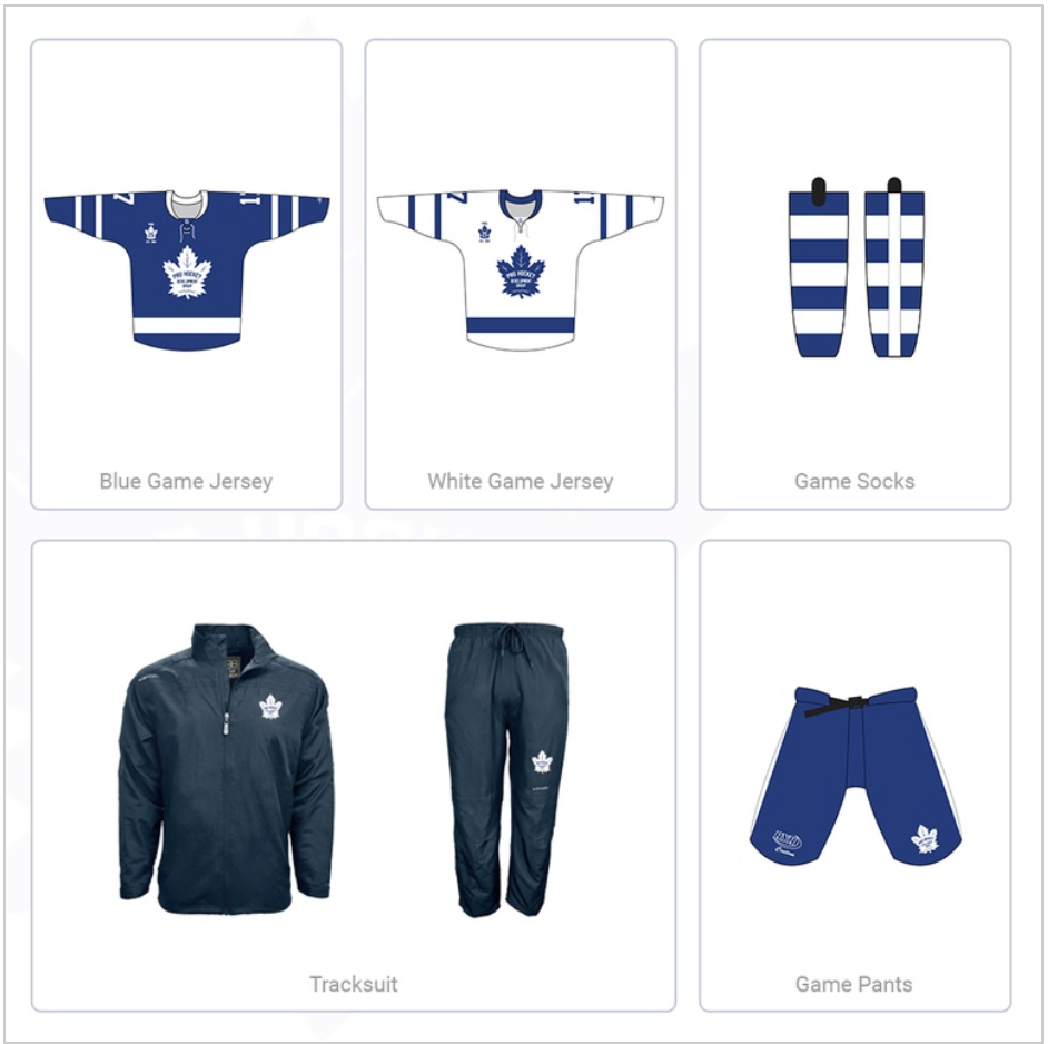 Pro Hockey Development Group site by RAMP InterActive